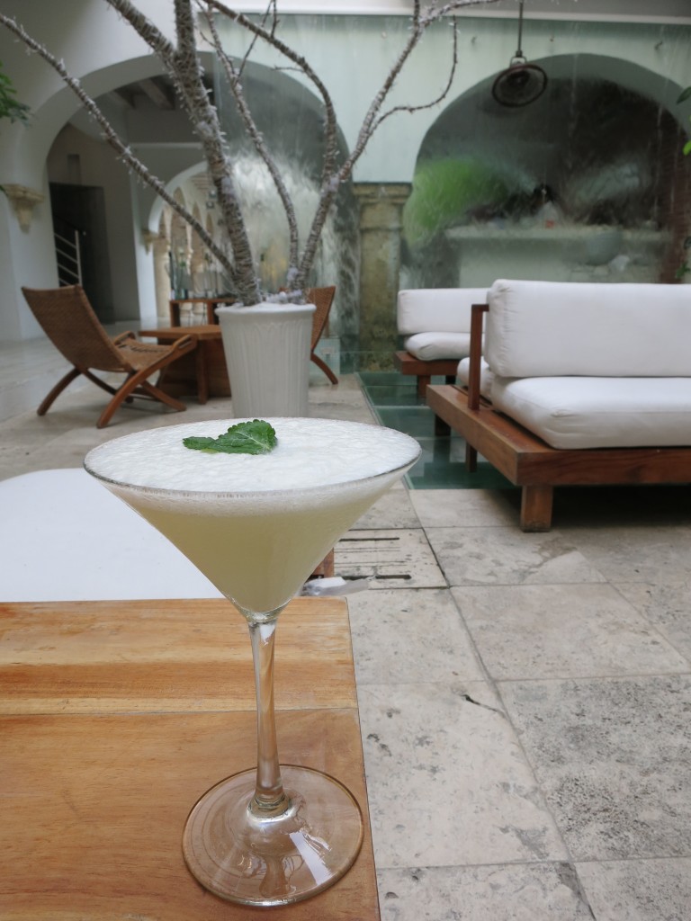 Tcherassi Martini